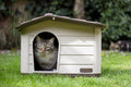 MP Bergamo Knock-down Pet House Brown