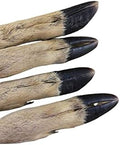 Row deer leg
