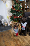 Festive Collection Scarf Marl Knit Med