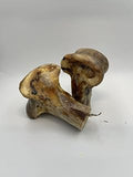 Ostrich Knuckle Large