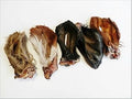 Hairy Buffalo Ear