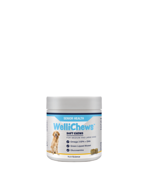 Wellichew Senior Health Chews Medium/Large Dogs - 60 Chews 120g