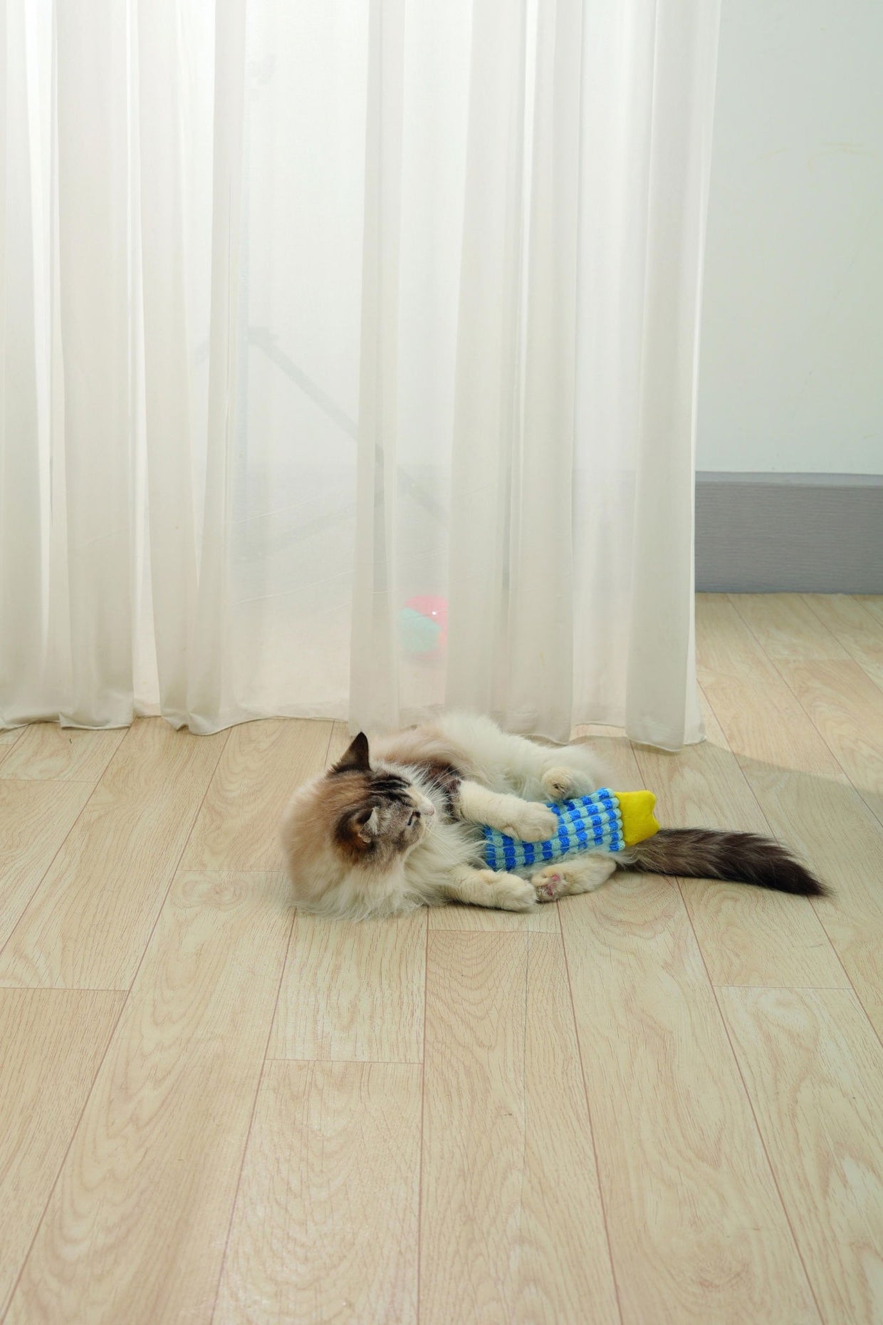 M-PETS Herby Catnip Toy