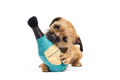Bark Crufts Winner''s Chompagne