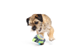 Bark Crufts Personal Beast Play Timer