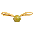 Bark Harry Potter The Golden Snitch