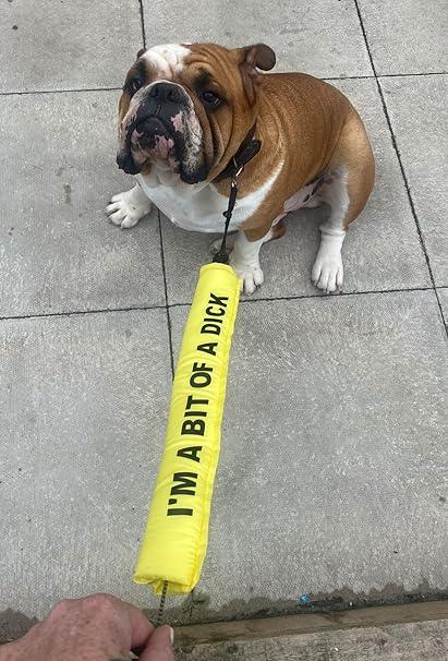 Personalised Dog Lead Sleeve