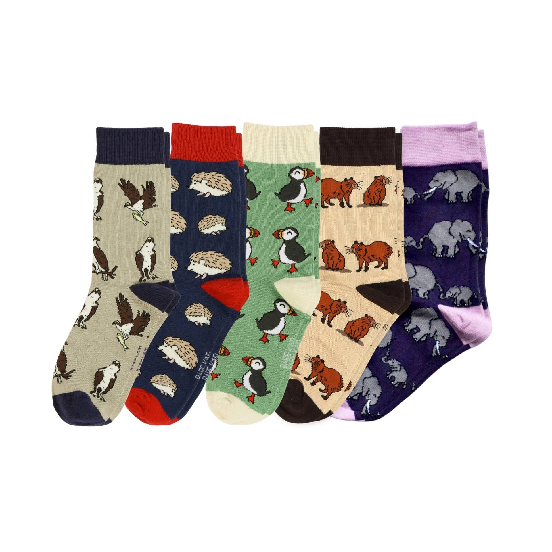 Bestsellers 5 Pack Bamboo Sock Set