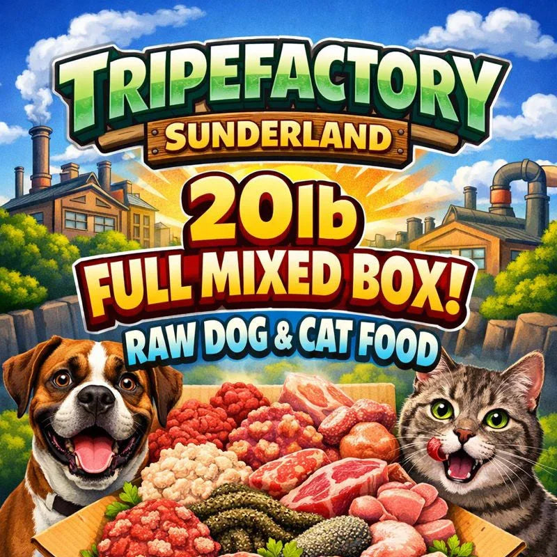 Tripefactory Sunderland - 20lb Full Mixed Box - Raw Dog & Cat Food – 250g