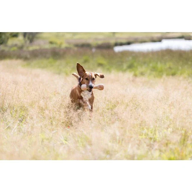 Trixie Wooden Retrieving Dumbbell