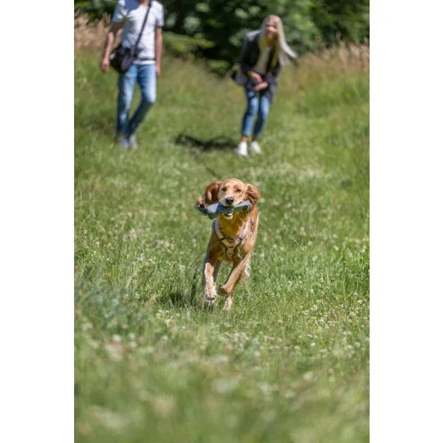 Trixie Feed Dummy