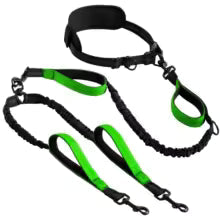 Explosive Double Dog Running Lead