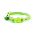 Ancol Collar Kitten 11-20cm