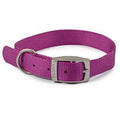 Ancol Viva Buckle Col Purple 35-43cm