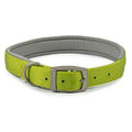 Ancol Viva Padded Buckle Collar Lime 50-59cm