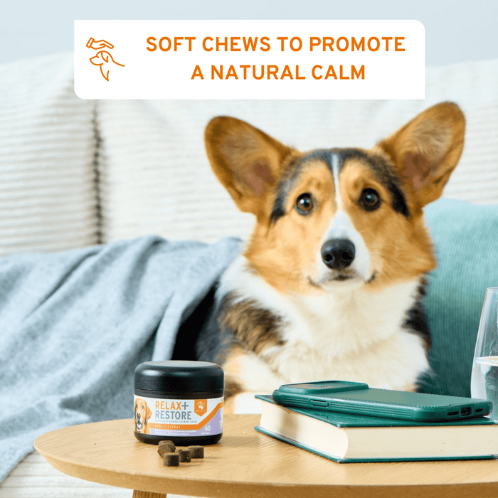 Relax + Restore Natural daily calm for anxious dogs
