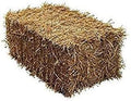 Barley Straw Bale - NE Pets