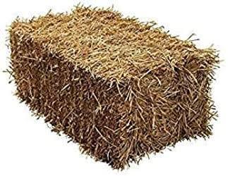 Barley Straw Bale - NE Pets