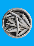 Northern Raw Feeds - Frozen Sprats - 1kg