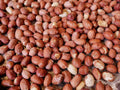 Bird Peanuts - 1kg