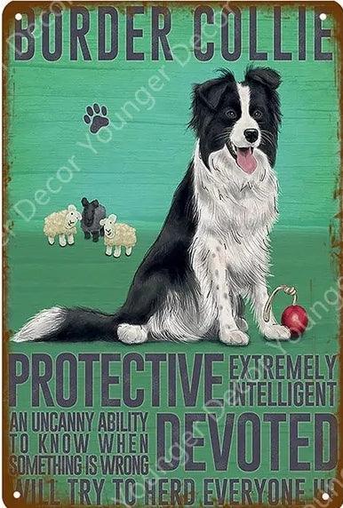 Boarder Collie Dog Tin Sign