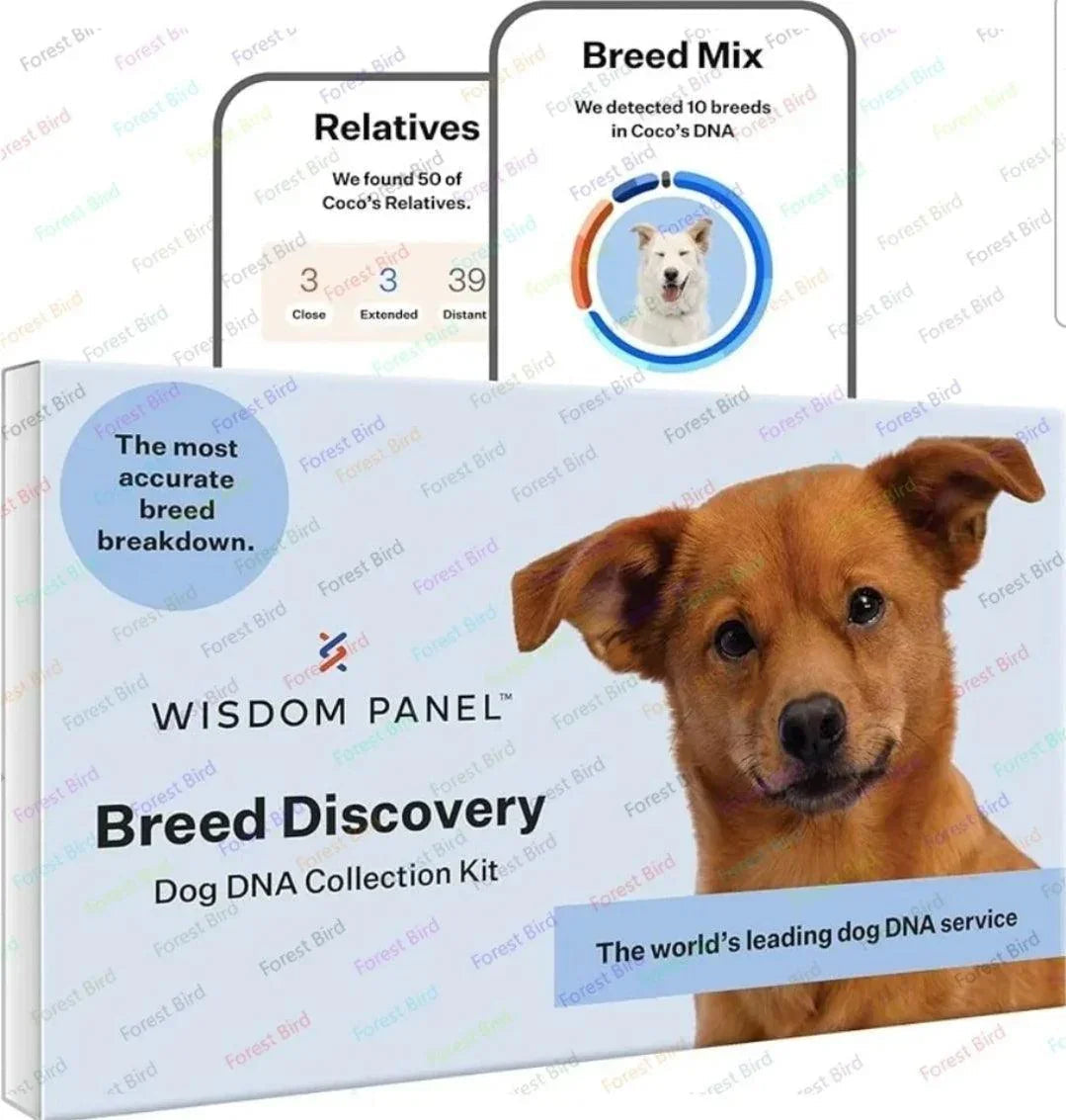 Breed Discovery Dog DNA Kit – Accurate 365+ Breed Identification, MDR1 Health Test, and Ancestry Insights