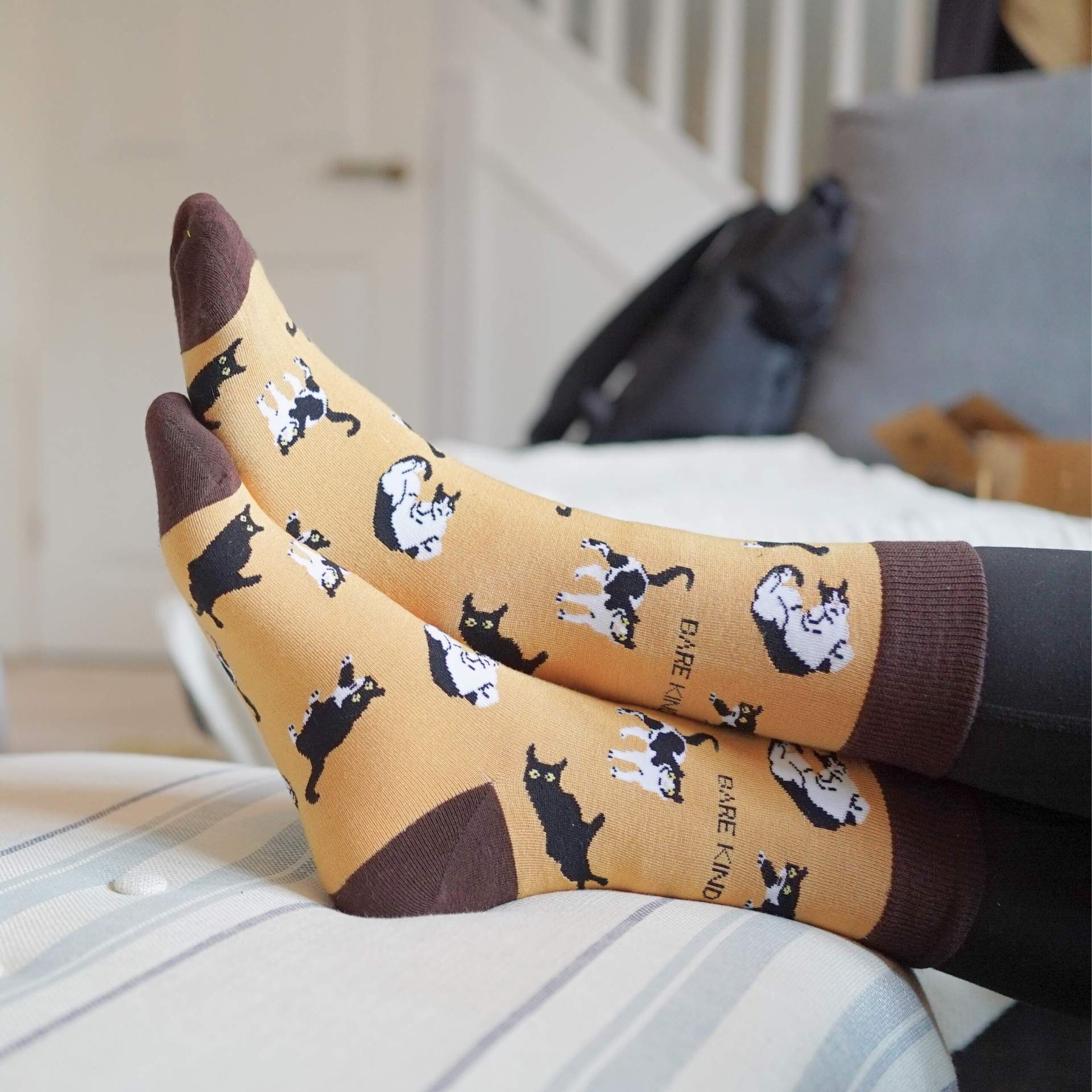 Brown Cat Pet Pair Bamboo Sock Set