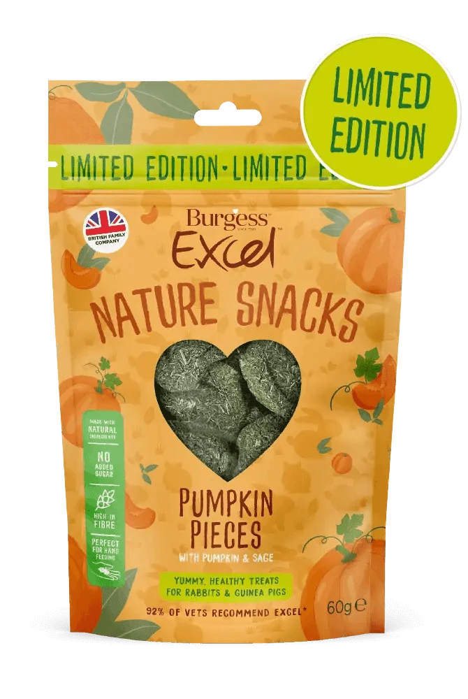 Burgess Excel Pumpkin Pieces with Pumpkin and Sage LIMITED EDITION