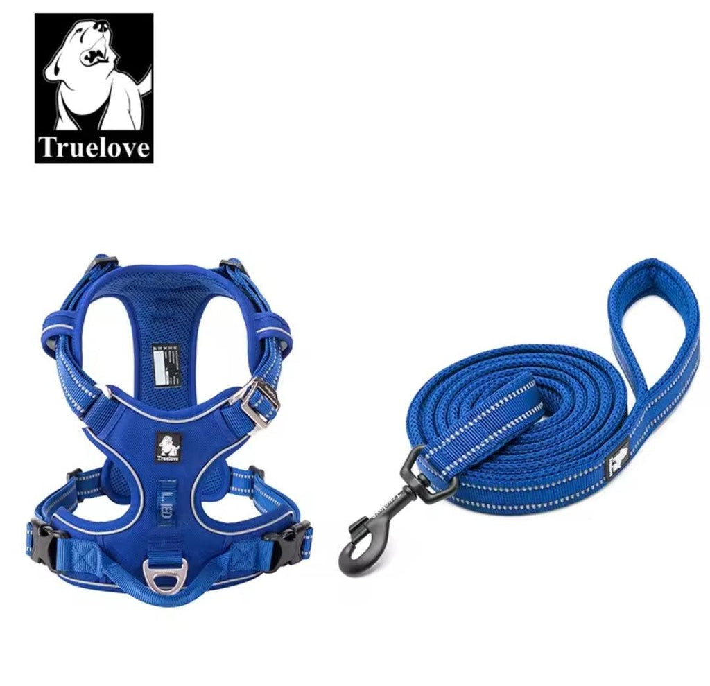 DogShackUK! True Love Harness & Lead