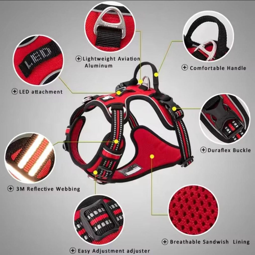 DogShackUK! True Love Harness & Lead