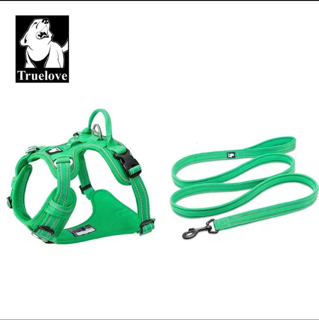 DogShackUK! True Love Harness & Lead