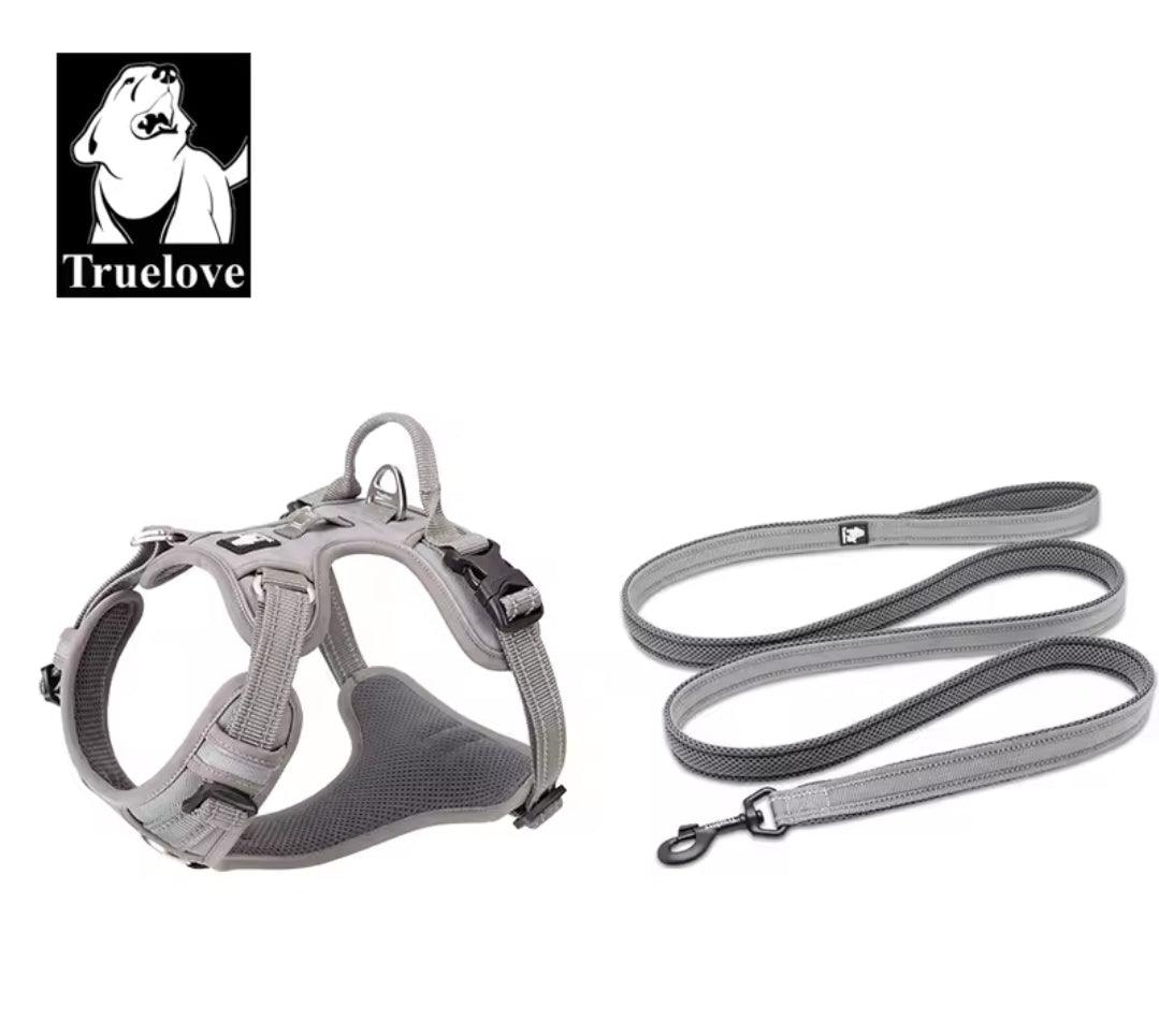DogShackUK! True Love Harness & Lead