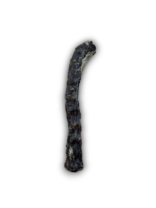 Duck Necks / Large
