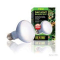 Exo Terra Daylight Basking Spot - 75w, 75w