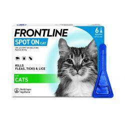 FRONTLINE Spot On Cat - 6 pipettes, 6's