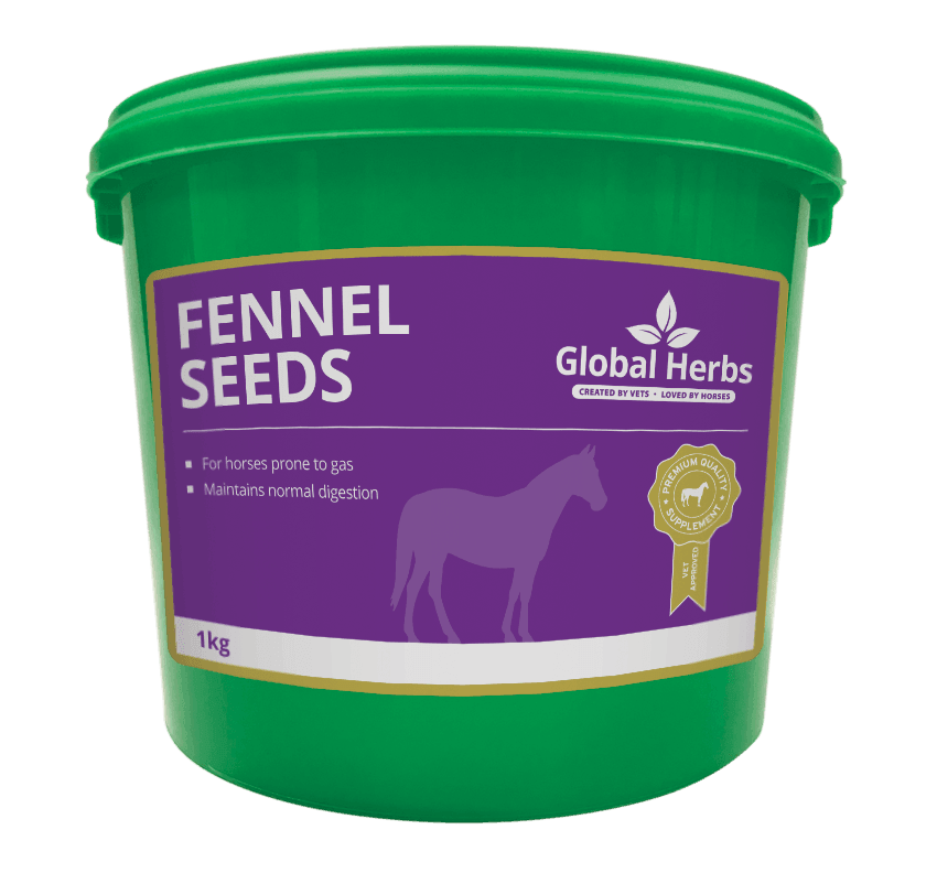 Global H Fennel