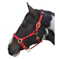 Hy Deluxe Padded Head Collar Red Full