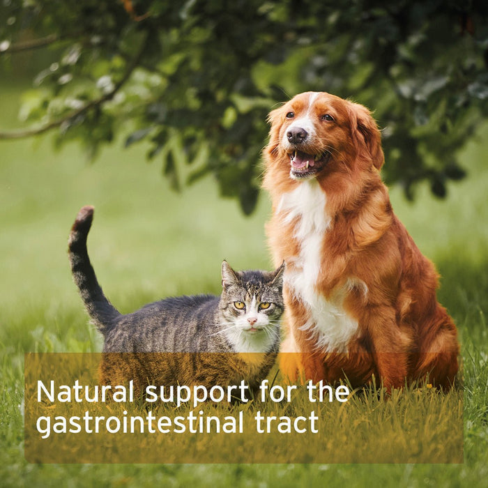Indian Psyllium Seeds for Dogs, Cats and Horses 1KG