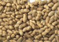 JJ Monkey Nuts in Shells 650g