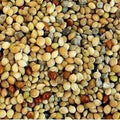 Johnston & Jeff Millet Mixed