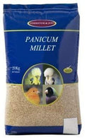 Johnston & Jeff Millet Panicum