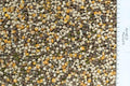 Johnston & Jeff Mixed Pulses