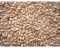 Johnston & Jeff Whole English Barley 20kg