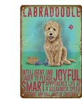 Labradoodle Dog Tin Sign