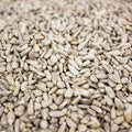Sunflower Hearts 1kg