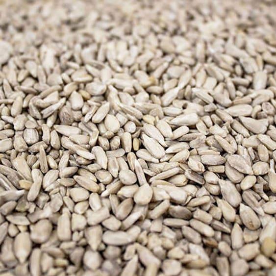 Gardman Flip Top Sunflower Heart Feeder (WITH 1KG SUNFLOWER HEARTS)