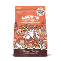 Lily's Kitchen Puppy Chicken & Salmon 7kg