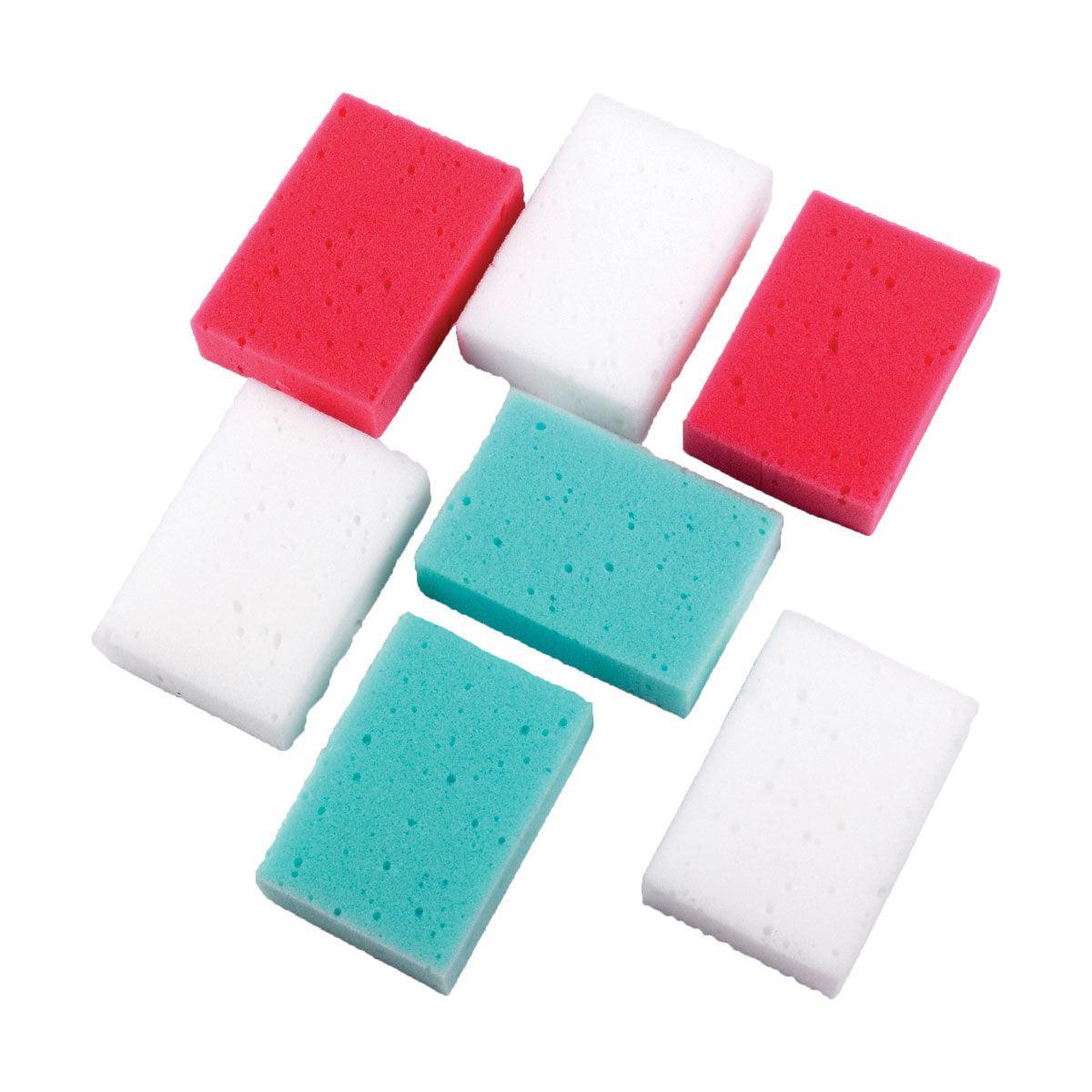 Lincoln Economy Sponge