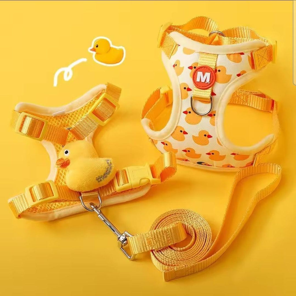 Little Duck Dog Harness & Lead Set