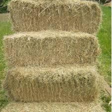 Meadow Hay Bale - North East Pets